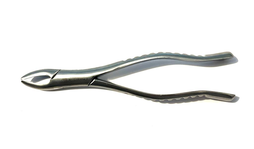 Forcep 6b #150 para incisivos premolares raíces superior universal