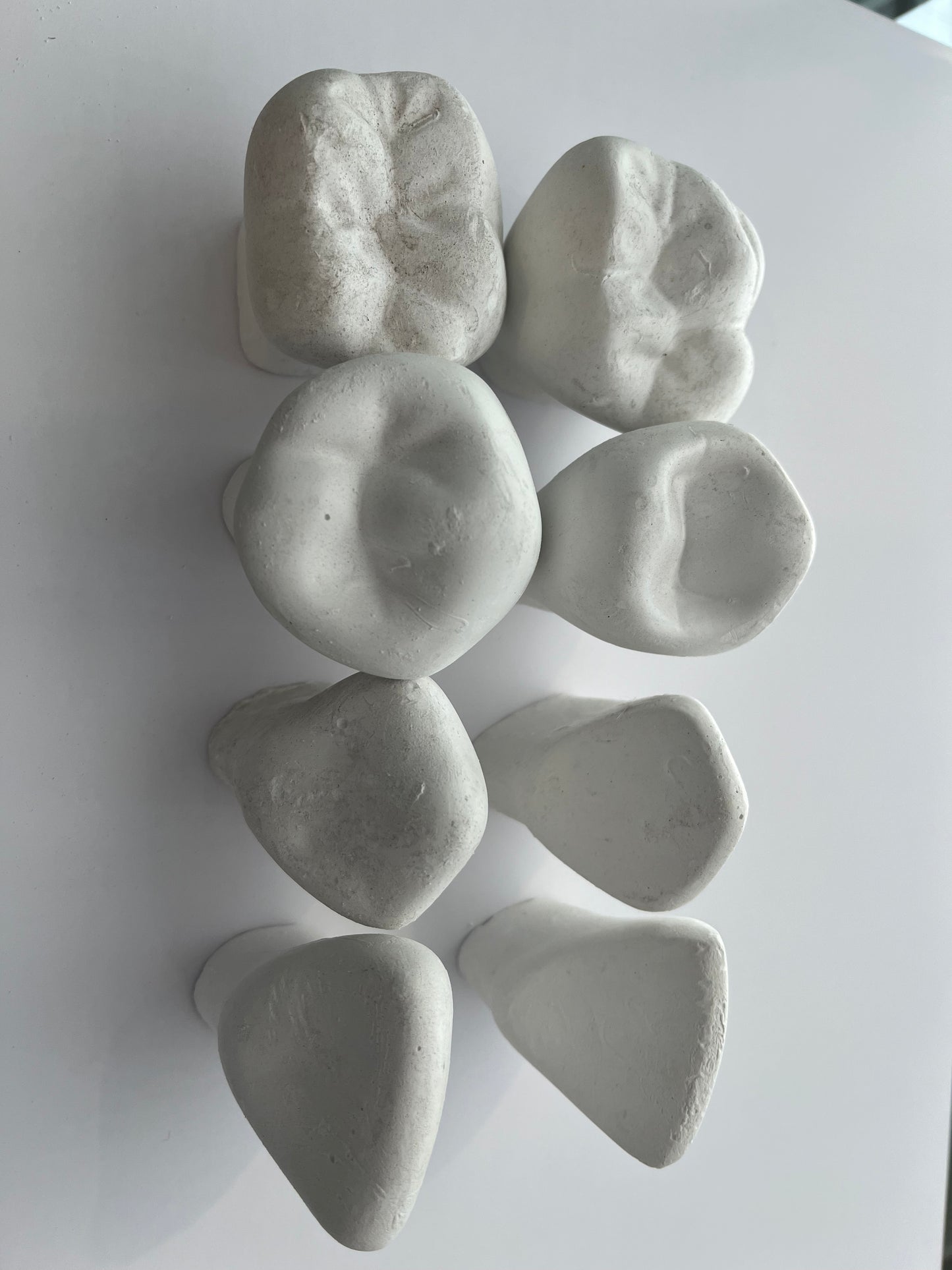 Bolsa de macromodelos (Macrodientes) de yeso bolsa con 8 piezas