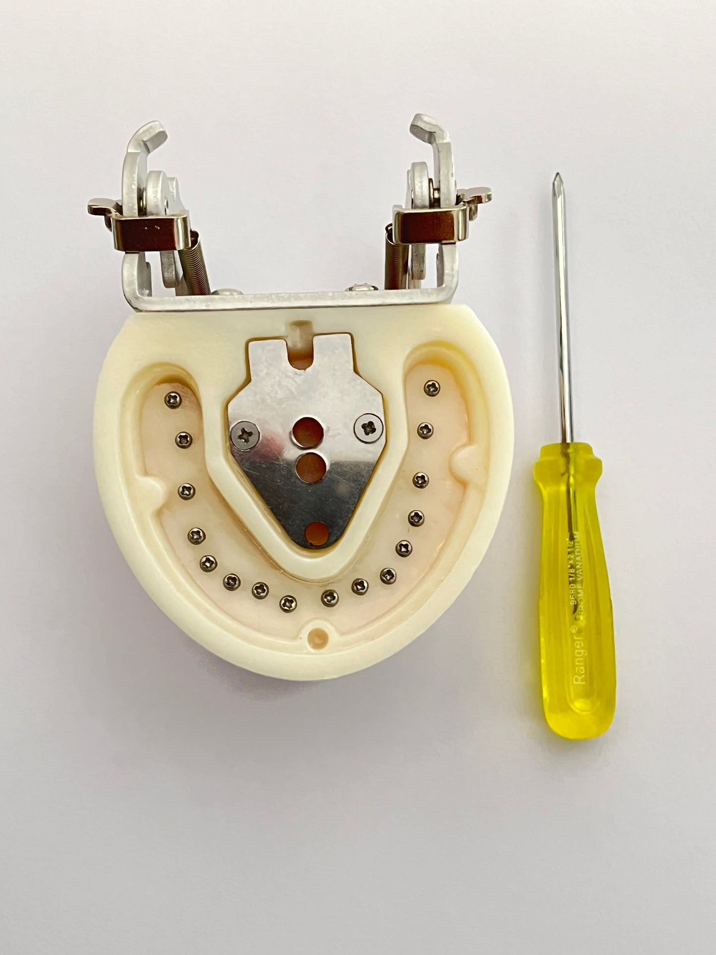 Tipodonto tipo nissin con articulación metálica de 32 dientes Prime dent