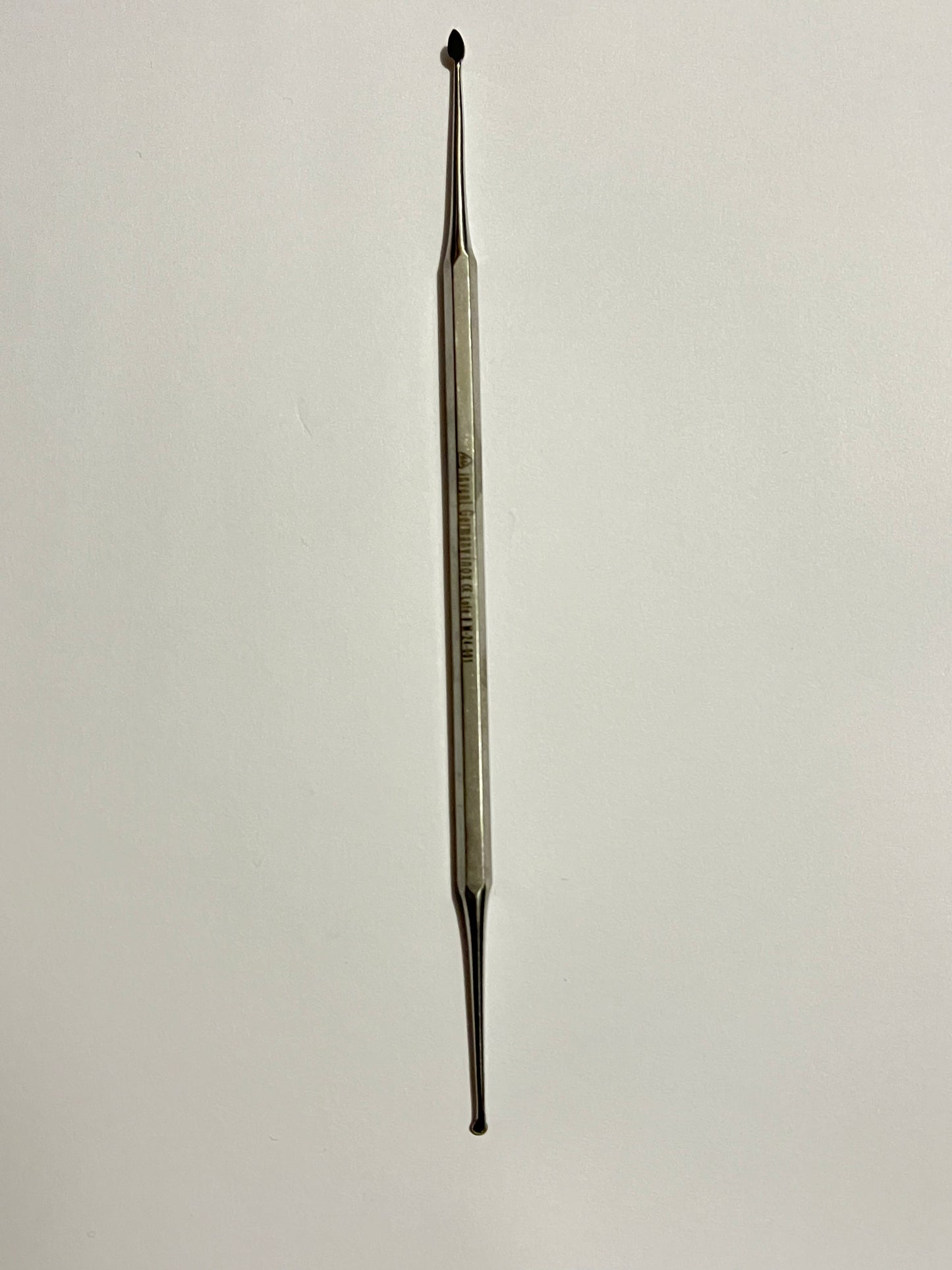 Cleoide discoide 6B 103-A