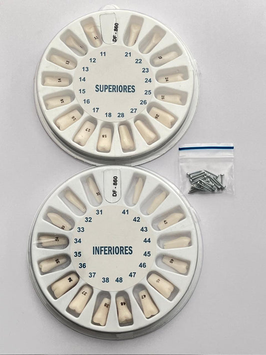 Set dientes tipo columbia marca prime dent