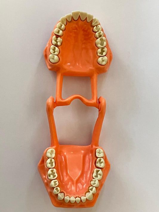 Tipodonto Adysa CON preparaciones