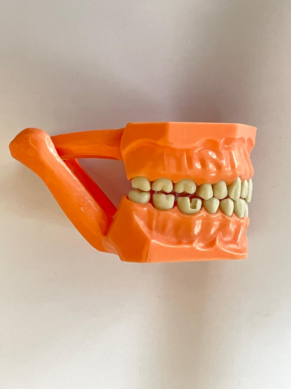 Tipodonto Adysa CON preparaciones