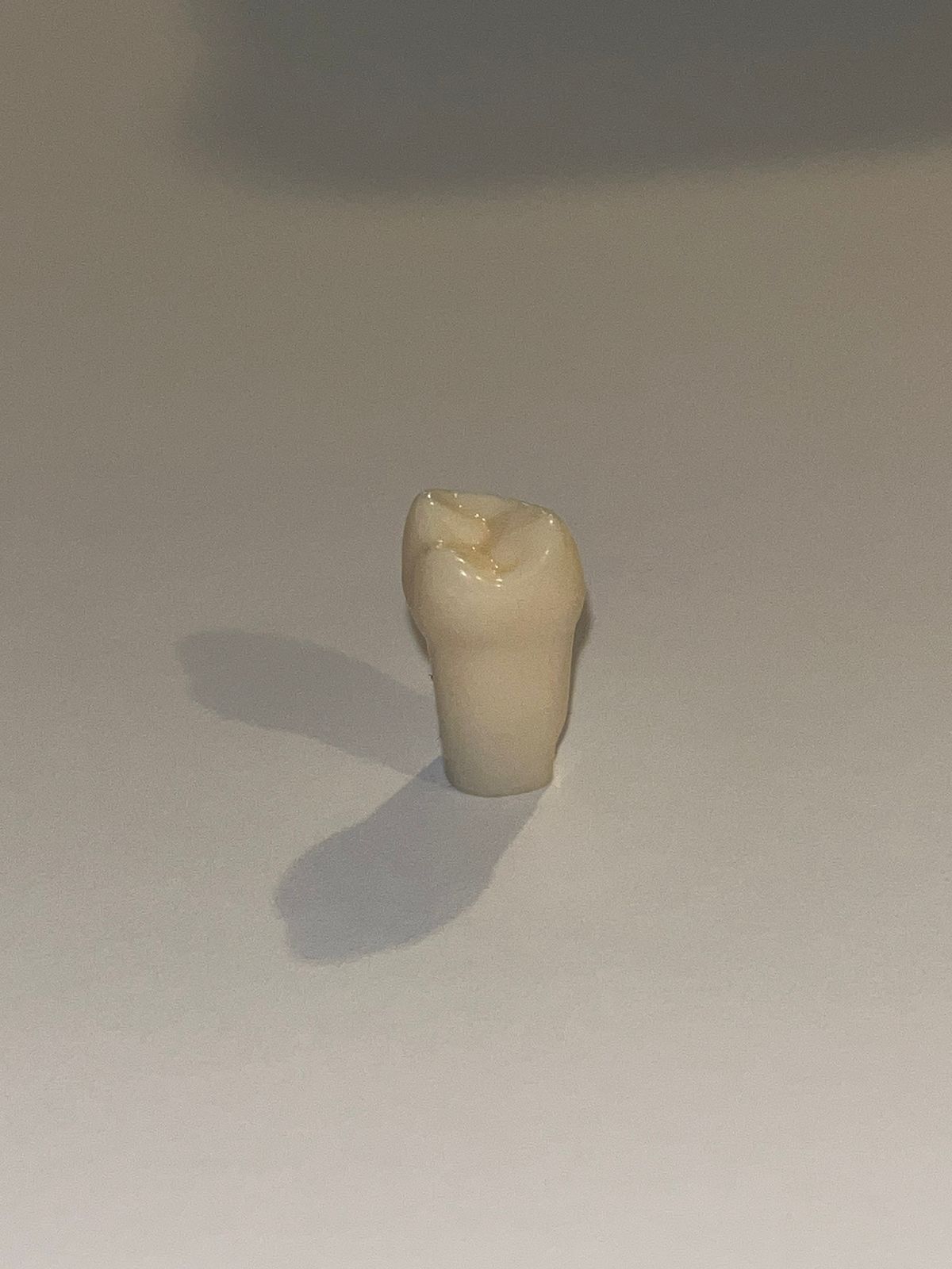 Diente nissin una capa 1.8 ( OD 18 ) Tercer molar superior derecho