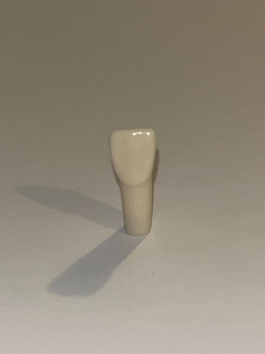 Diente nissin una capa 1.1 ( OD 11 ) Central superior derecho