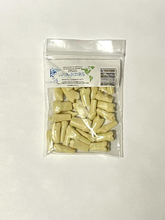 Dientes para tipodonto Wences grupreysa