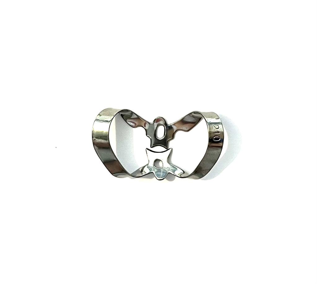 Grapa 6B # 210 Incisivos Centrales y Laterales o Inferiores parcialmente erupcionados.