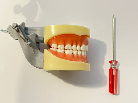 Tipodonto TIPO Nissin platinas metálicas DM-200G marca Dyma