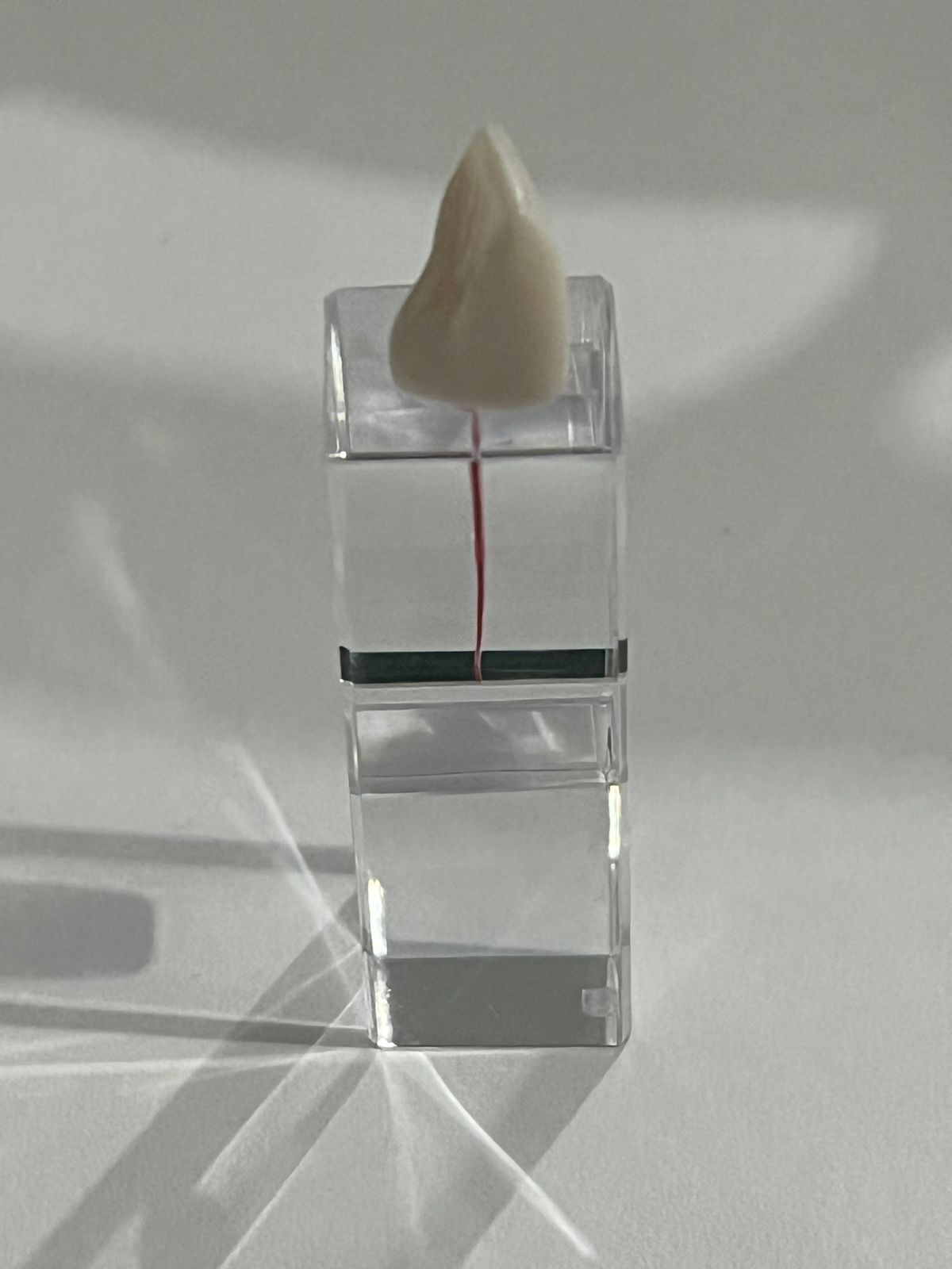 Cubo Diente nissin endodoncia