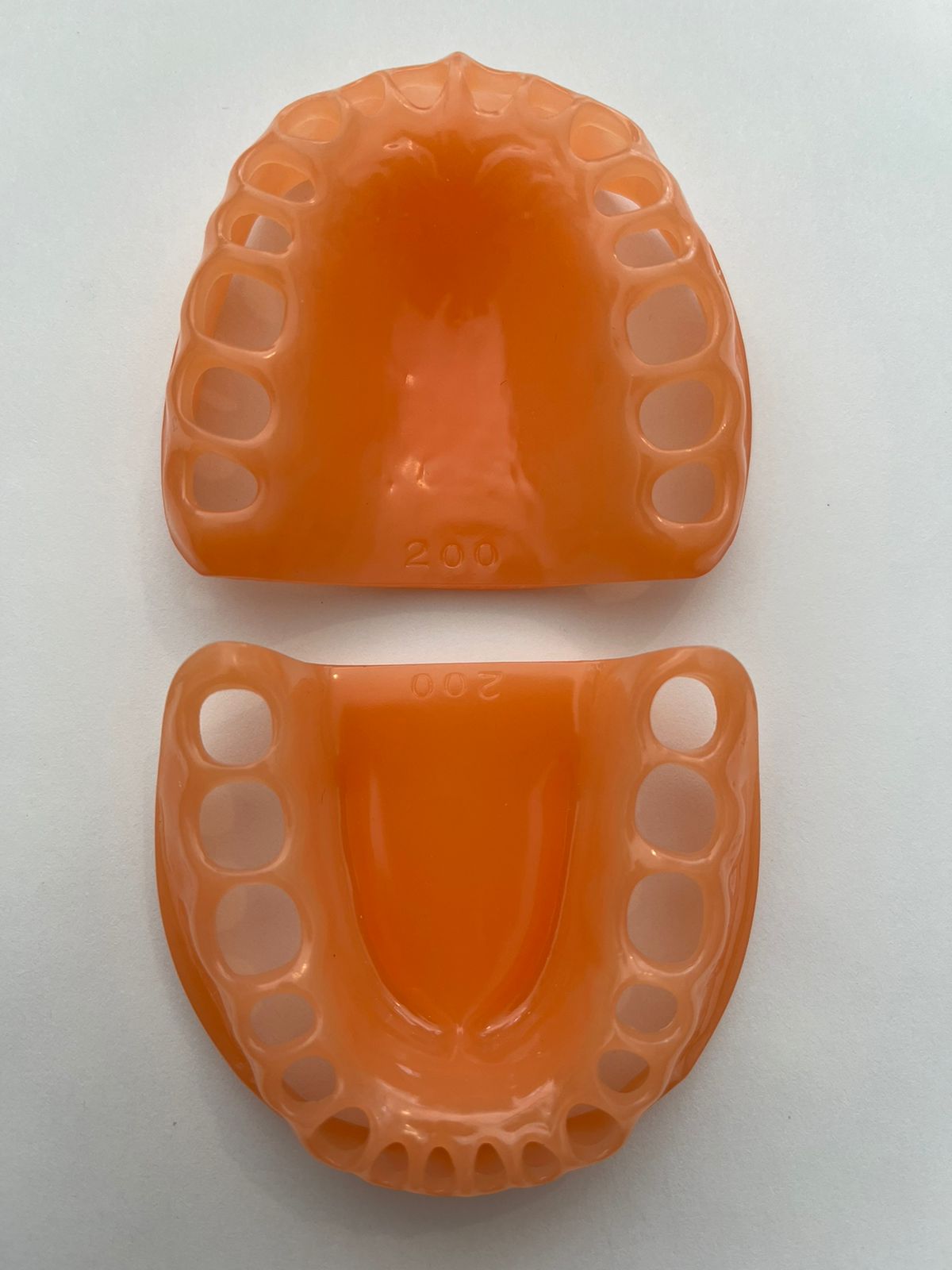 Par de encías para tipodonto Nissin 28 9 32 dientes