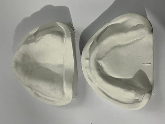 Tipodonto Modelo de yeso desdentado steel dental