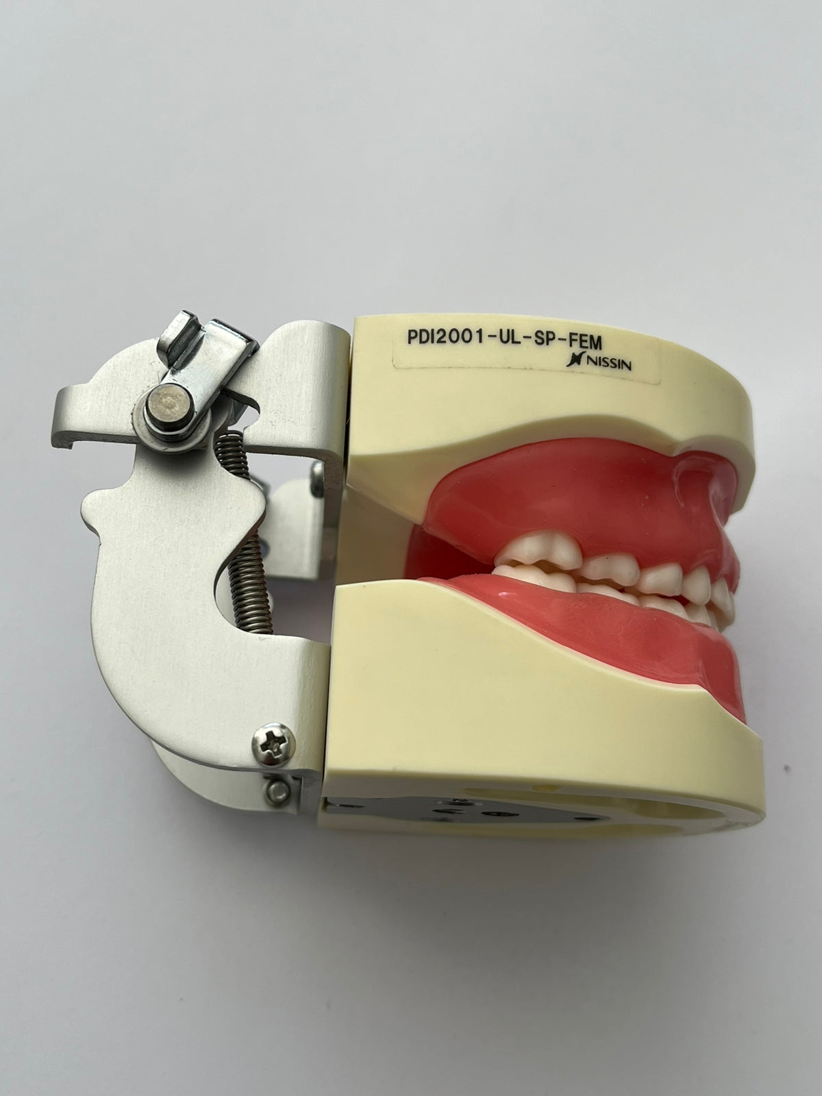 Tipodonto infantil Nissin