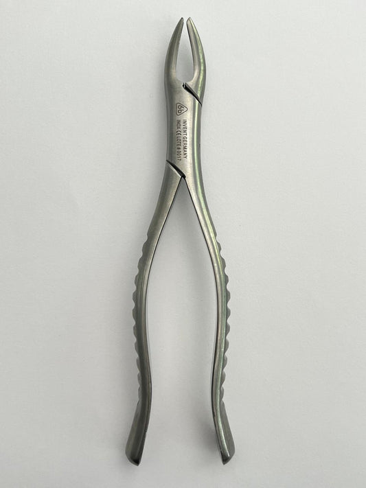 Forcep 6b #150 para incisivos premolares raíces superior universal