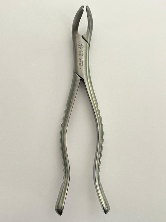 Forcep 6b #151 para incisivos