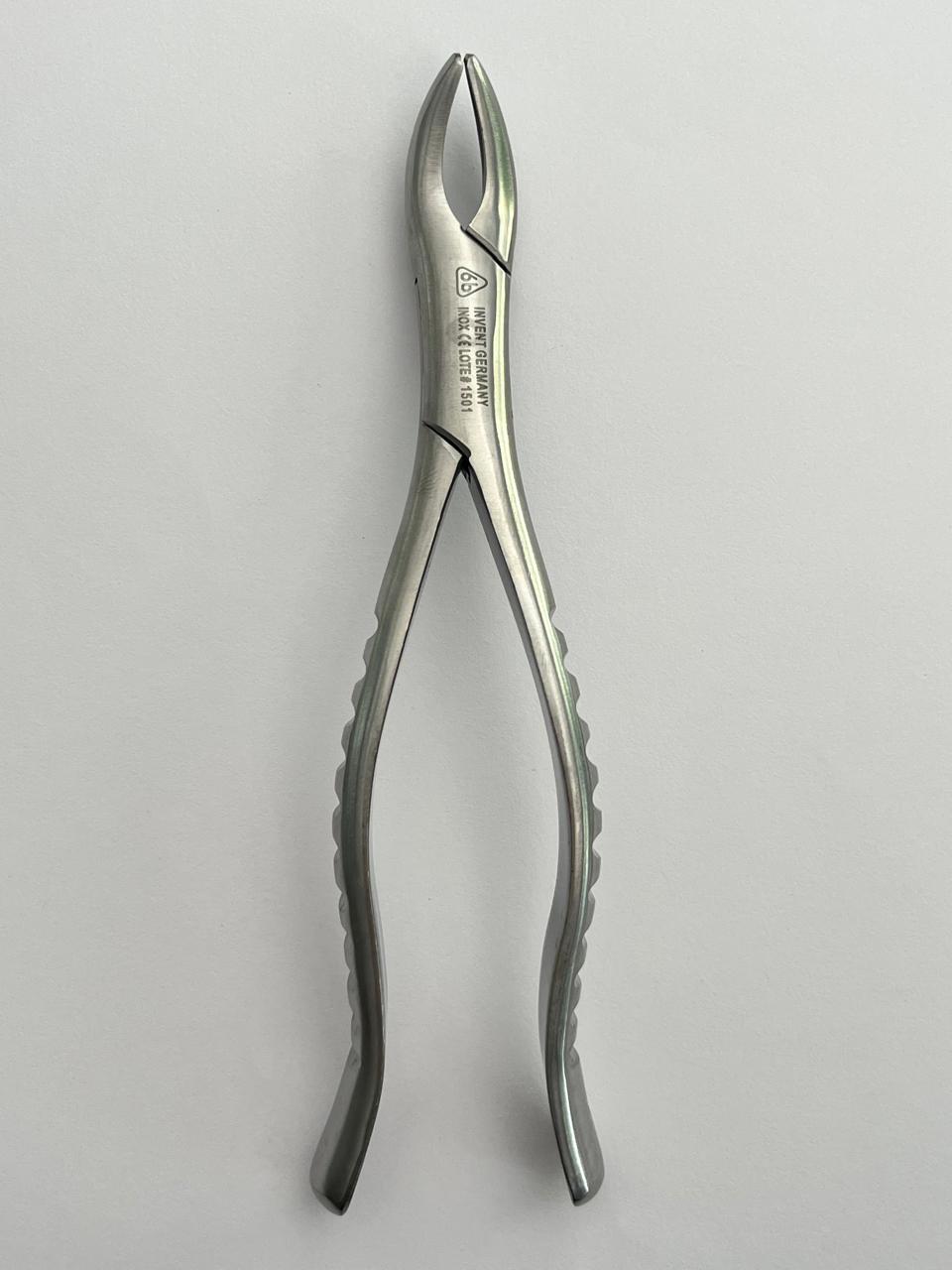 Forcep 6b #62 para incisivos, premolares y dientes temporales