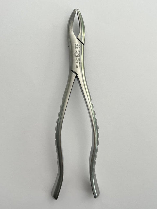 Forcep 6b #62 para incisivos, premolares y dientes temporales