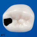 Nissin Modelo de Diente Endodóntico Pediátrico SERIE A12A pieza pulpa caries #75