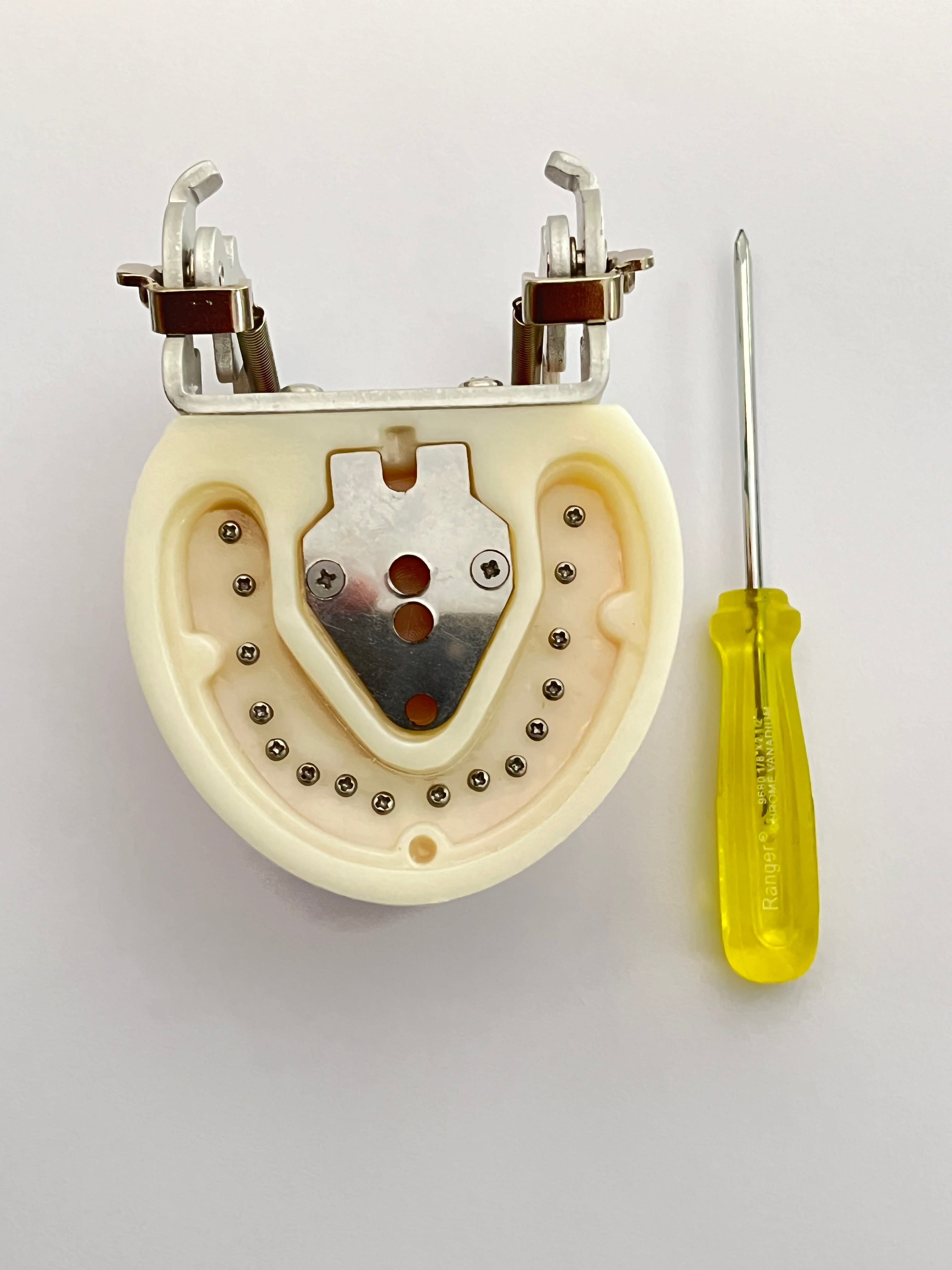 Tipodonto tipo nissin con articulación metálica de 32 dientes Prime dent