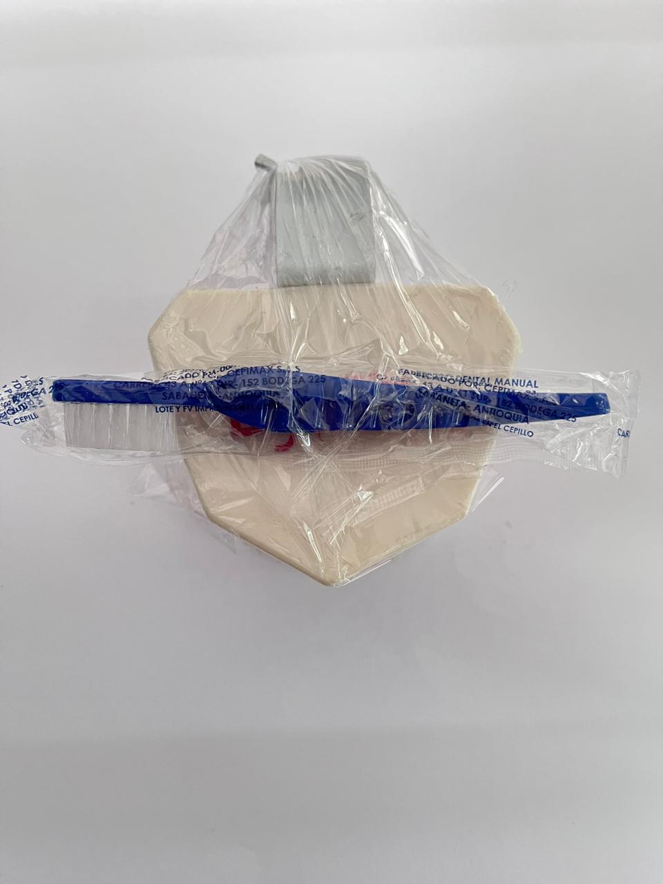 Tipodonto didactico con cepillo Dyma