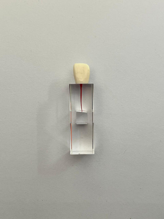 Cubo Diente nissin endodoncia 13-END3M00111RRE (11)