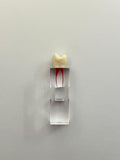 Cubo Diente nissin endodoncia 13-END3M0124RRE (24)
