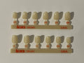 Corona policarbonato 3m Lateral