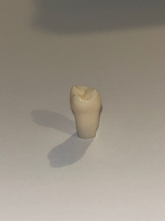 Diente nissin una capa 1.8 ( OD 18 ) Tercer molar superior derecho