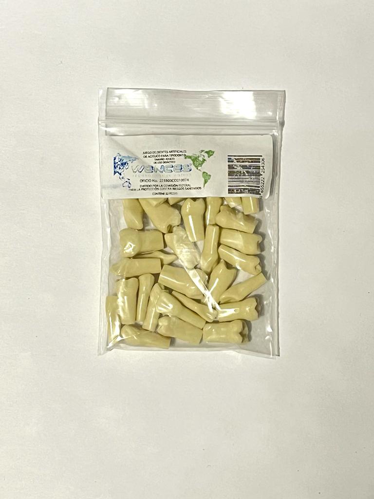 Dientes para tipodonto Wences grupreysa
