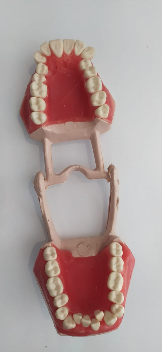 Tipodonto ortodoncia