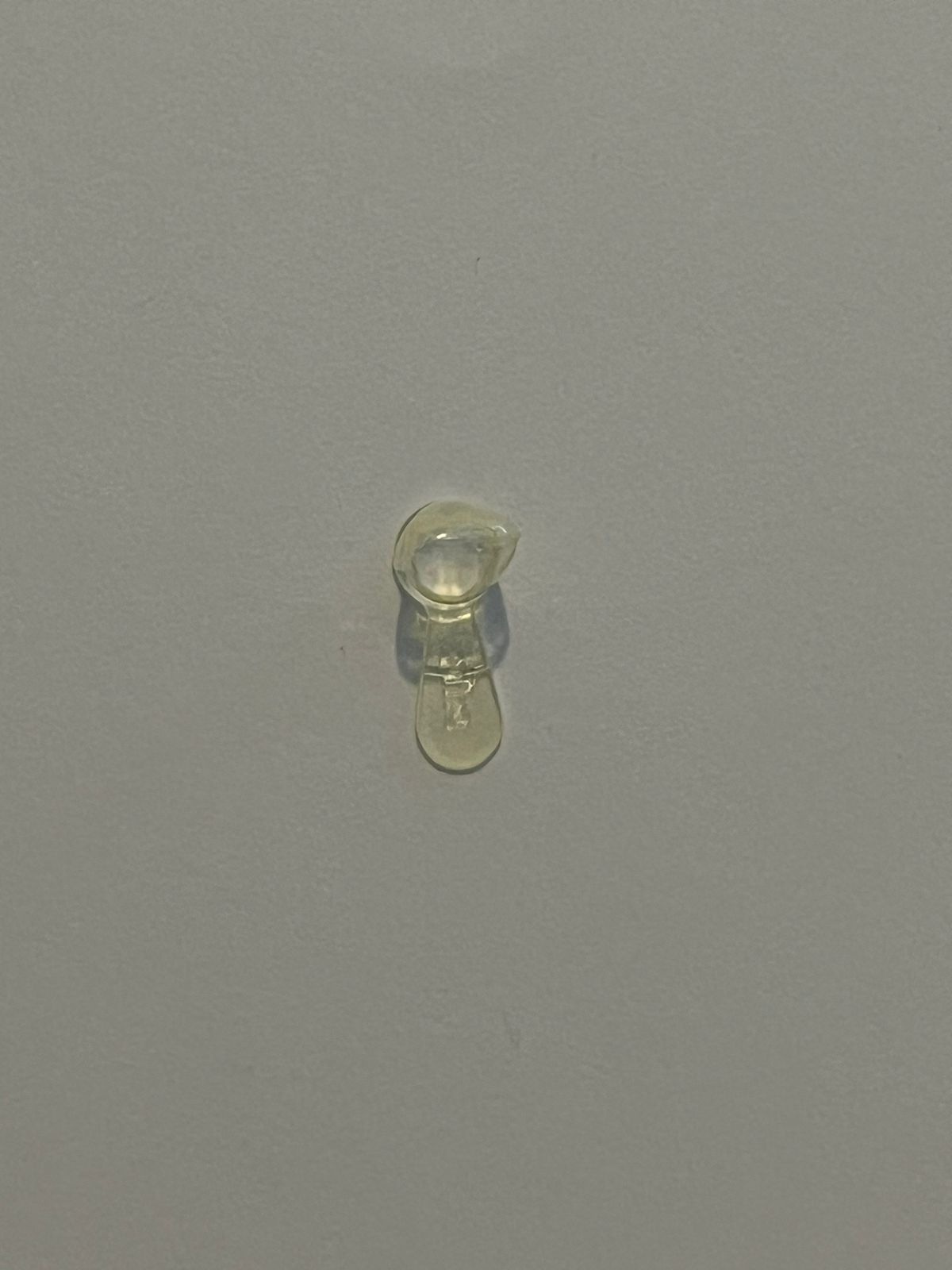 Corona pediátrica funda celuloide 3M