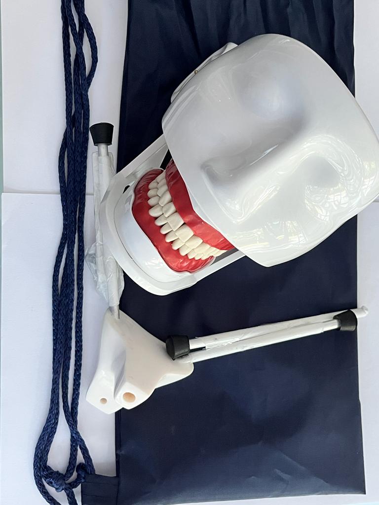 Carodonto dentado