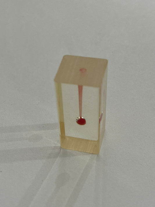 Cubo Diente nissin endodoncia 13-S6U1