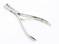 Pinza de la rosa arain