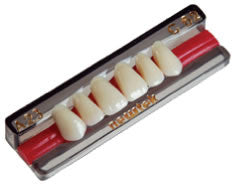 Diente new tek TAMAÑO 222