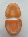 Par de encías para tipodonto Nissin 28 dientes