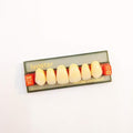 Ivostar/Gnathostar dientes