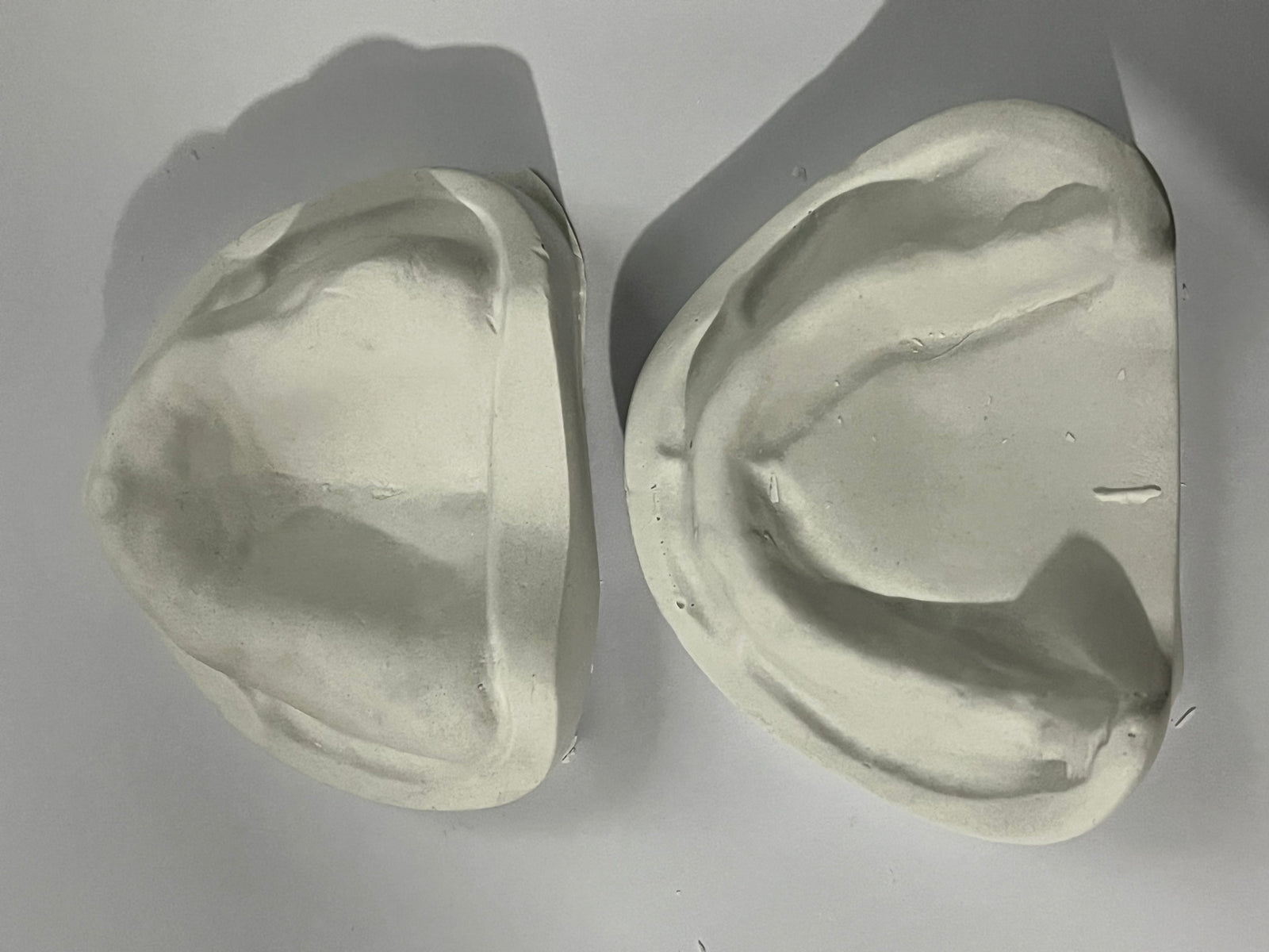 Tipodonto Modelo de yeso desdentado steel dental
